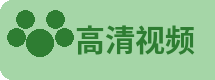 高清视频